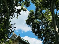 -武汉大学-樱园