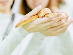 -藦茜花园宠物主题亲子互动体验馆(国顺东路店)