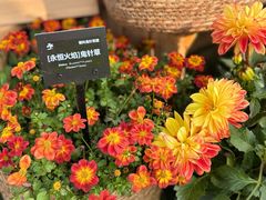 -上海植物园-4号门售票处