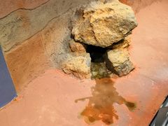 -盘龙城国家考古遗址公园