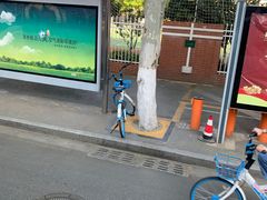 -南京市凤凰花园城小学