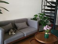 -仰生如卉推拿养生馆(酒仙桥店)