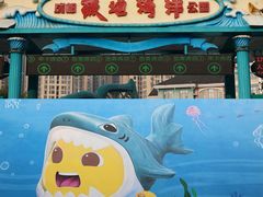 -海合安成都极地海洋公园