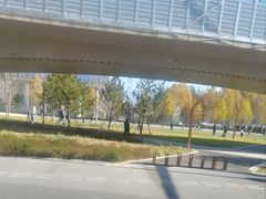 -清华东路西口(地铁站)
