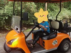 -上海海湾国家森林公园