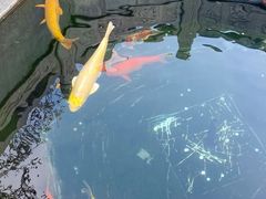 -西安市广仁寺