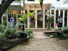 -Fern Forest Cafe