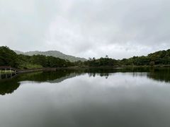 -海南热带雨林国家公园吊罗山景区