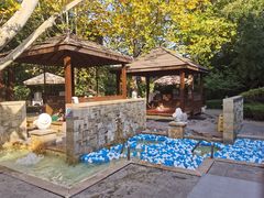 -春晖园度假酒店温泉