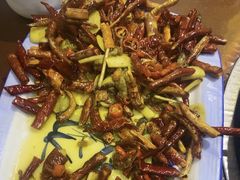 -菌之家·专业纯野生菌火锅·特色炒菌