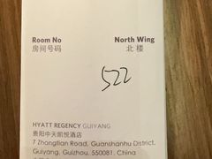 -贵阳中天凯悦酒店