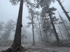 -瓦屋山景区