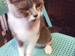 -MIKAKU(万达广场上海宝山店)