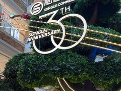 -松雷商业(南岗店)