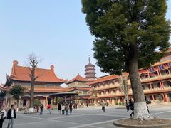 -高旻寺