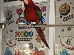 -绿色星球动物主题公园