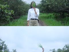 -塘栖枇杷特色园区