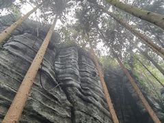 -梭布垭石林景区