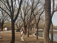 -廊坊市自然公园