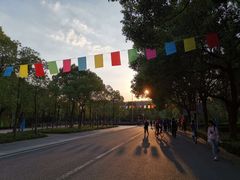 -华东政法大学(松江校区)
