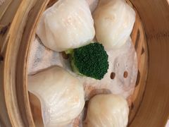 -金苑海鲜酒家(来魅力店)