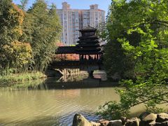 -南汇桃花村