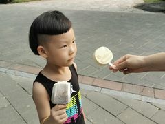 -北京植物园南门售票处