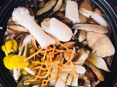 -菌粹源野生菌(木水花市场店)