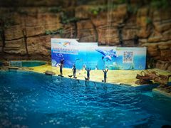 -杭州长乔极地海洋公园