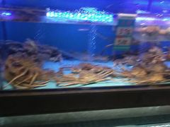 -阿伟海鲜楼·福建菜(延寿店)