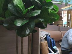 -青花椒花椒鱼(合生汇店)