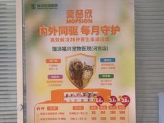 -瑞派福兴宠物医院犬猫全科·骨科·中西医结合(河东店)