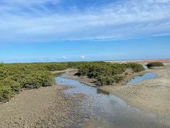 -北海金海湾红树林生态旅游区