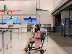 -约翰·菲茨杰拉德·肯尼迪国际机场