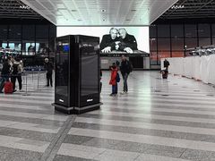 -米兰马尔彭萨国际机场