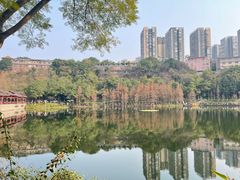 -重庆彩云湖湿地公园