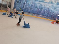 -世界之窗阿尔卑斯冰雪世界