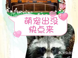 这里有超多可可爱爱的小萌宠哦,他们在这里等你来呢