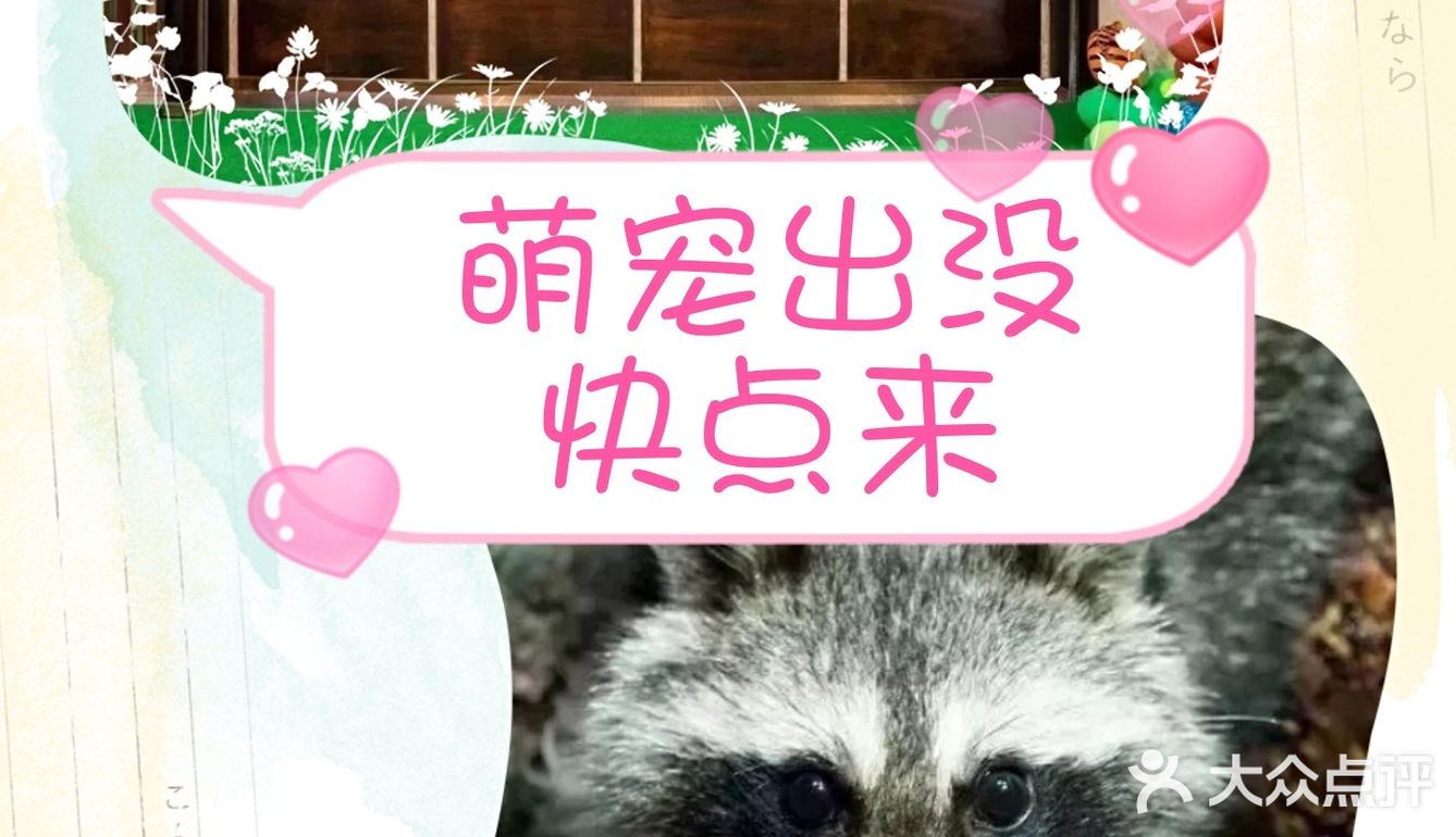 这里有超多可可爱爱的小萌宠哦，他们在这里等你来呢