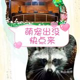 这里有超多可可爱爱的小萌宠哦，他们在这里等你来呢