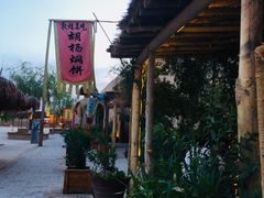 -沙洲胡杨焖饼