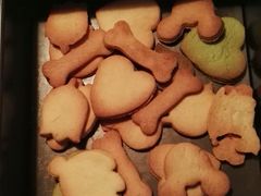 -咖咖熊蛋糕定制·蓝风车动物奶油
