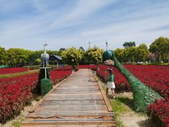 -广东花都香草世界旅游度假区