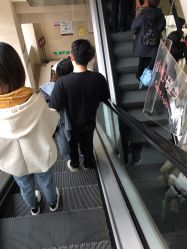 -复旦大学附属妇产科医院(杨浦院区)