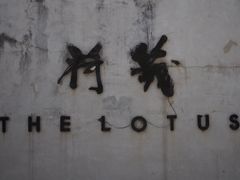 -几荷·恰似故人来(秀水广场店)
