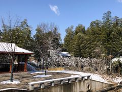 -天目湖御水温泉·度假酒店