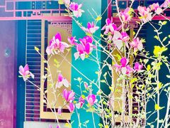 -天津妈祖文化园