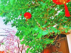 -川沙古镇-停车场