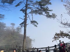 -峨眉山报国寺