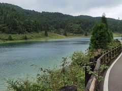 -武陵山森林公园